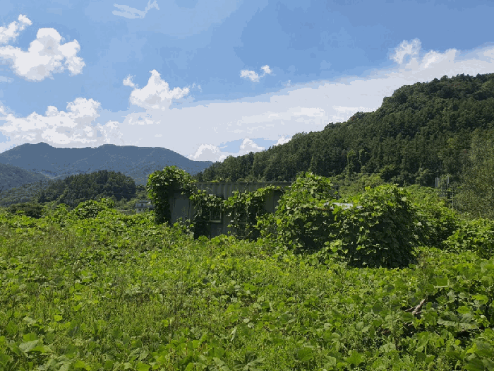 본건 기호(1) 지상소재 이동식컨테이너 