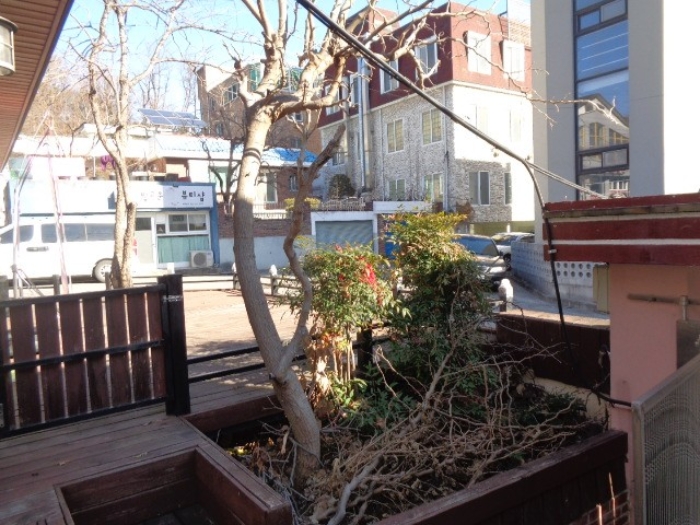 제시외 수목(조