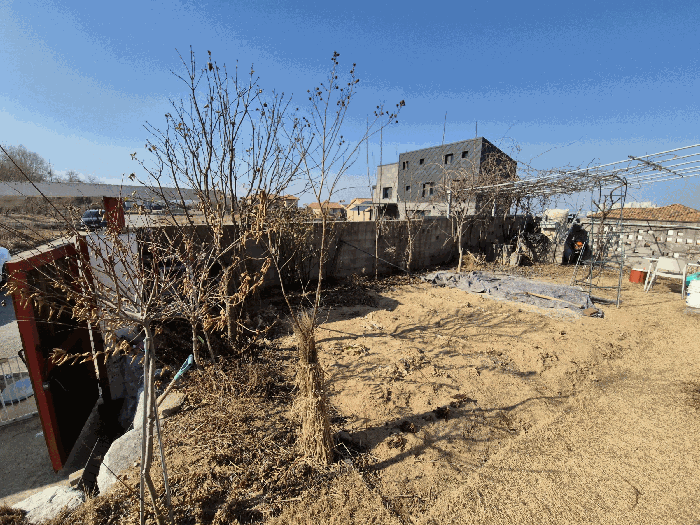 제시외수목 ㅂ)