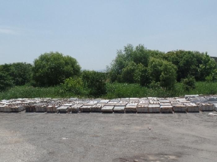 기호 7. 돋측 전경(잡목이 자생 중임)