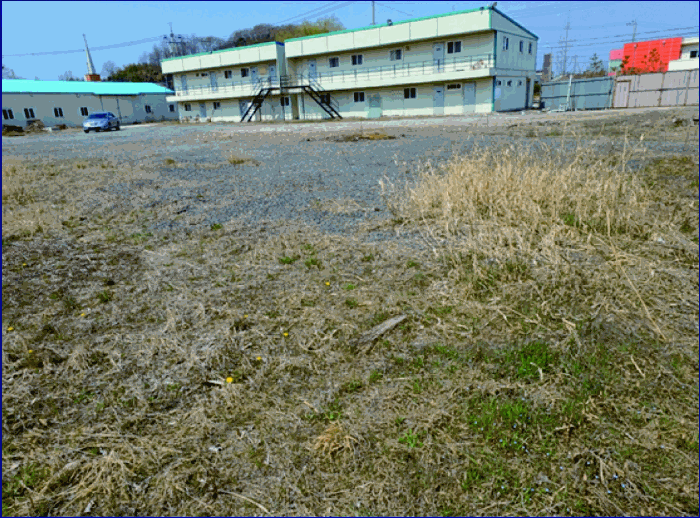 본건 (8) 토지 및 (9) 토지