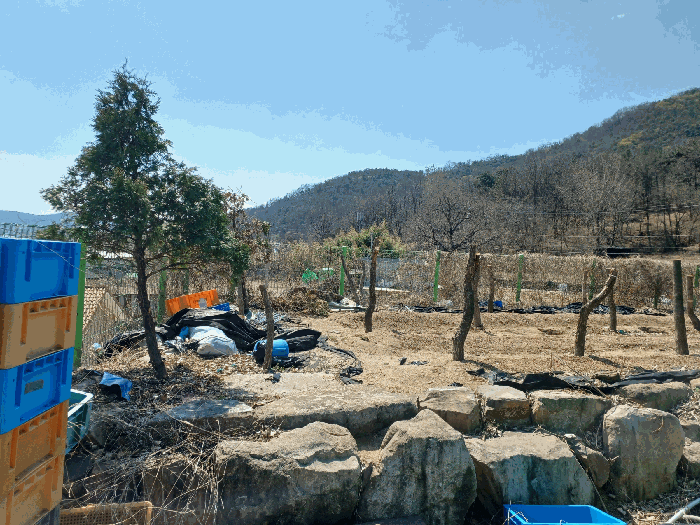 기호 8) 지상에 소재하는 조경수목 등