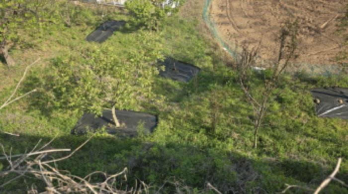 경북 칠곡군 동명면 송산리 653-1, 654, 654-1, 655-2. 묵전의 전경