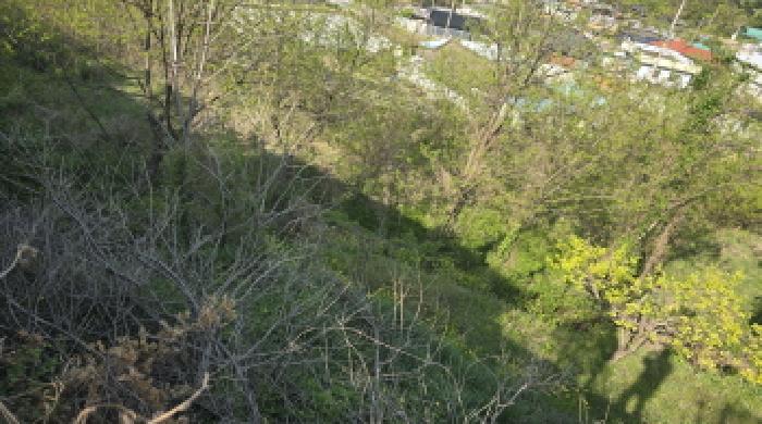 경북 칠곡군 동명면 송산리 653-1, 654, 654-1, 655-2. 묵전의 전경