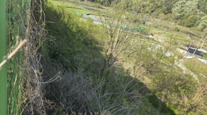 경북 칠곡군 동명면 송산리 653-1, 654, 654-1, 655-2. 묵전의 전경