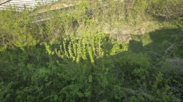 경북 칠곡군 동명면 송산리 653-1, 654, 654-1, 655-2. 묵전의 전경