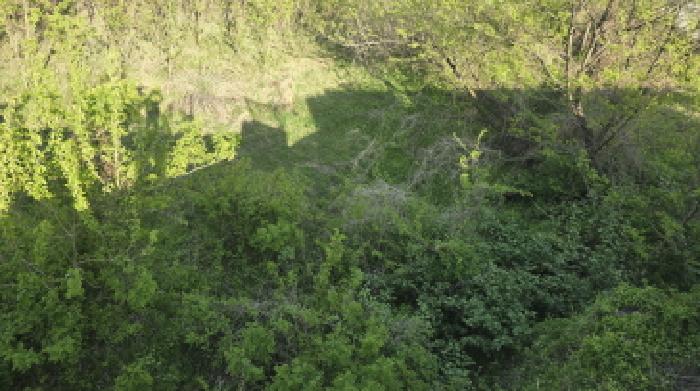 경북 칠곡군 동명면 송산리 653-1, 654, 654-1, 655-2. 묵전의 전경