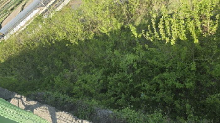 경북 칠곡군 동명면 송산리 653-1, 654, 654-1, 655-2. 묵전의 전경