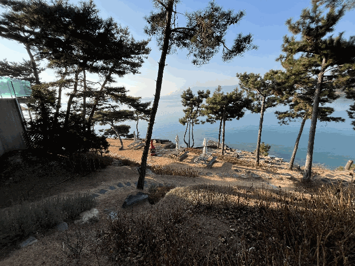 본건 토지 전경