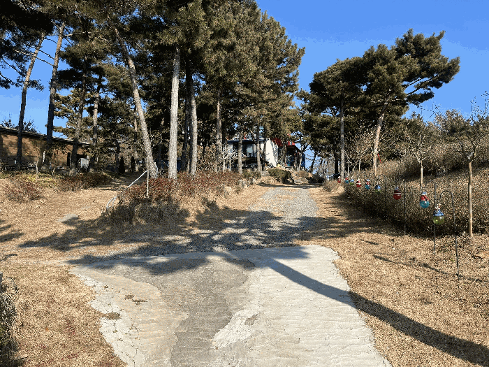 본건 토지 전경