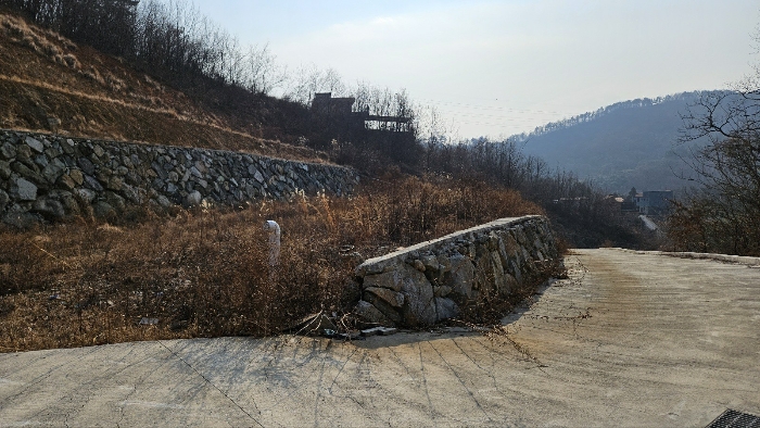 본건 토지 사진