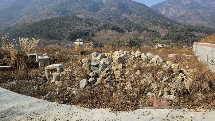 본건 토지 사진