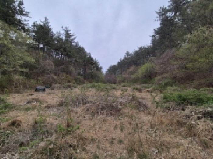 목록 1