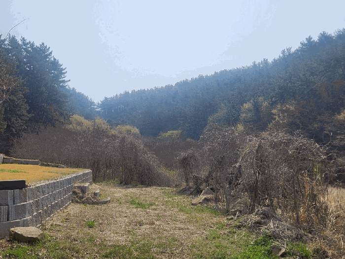 일련번호 1~9) 인근 환경