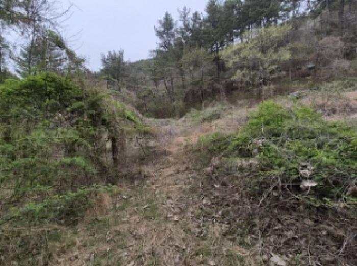 목록 8