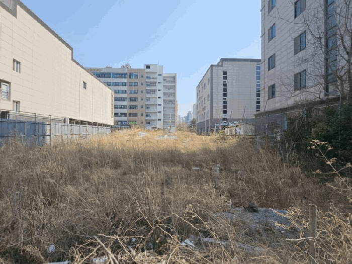 본건 전경