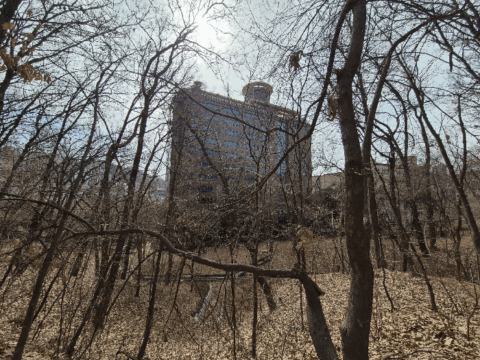 대상물건 북측에서 촬영