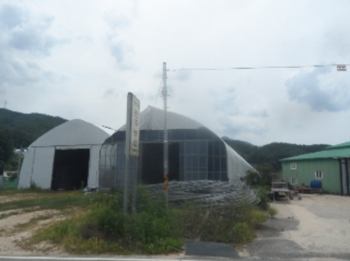 기호 1번 근거리에서 촬영한 것임