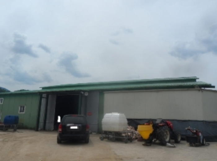 기호 4번 근거리에서 촬영한 것임