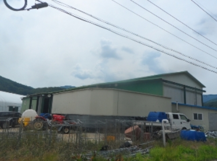 기호 4번 근거리에서 촬영한 것임