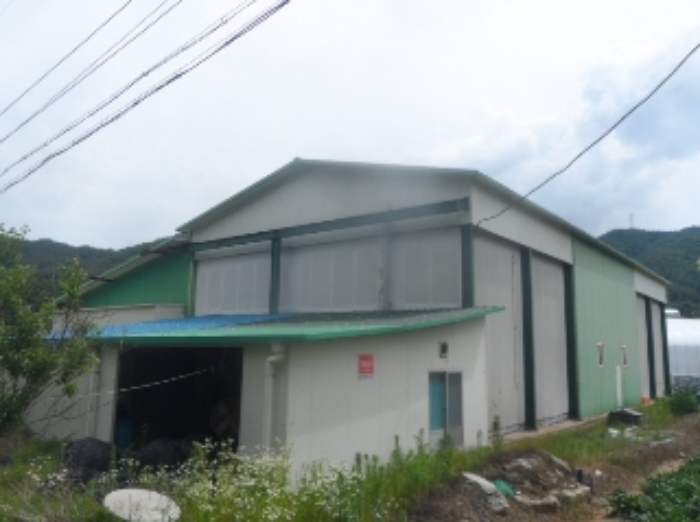 기호 4번 근거리에서 촬영한 것임