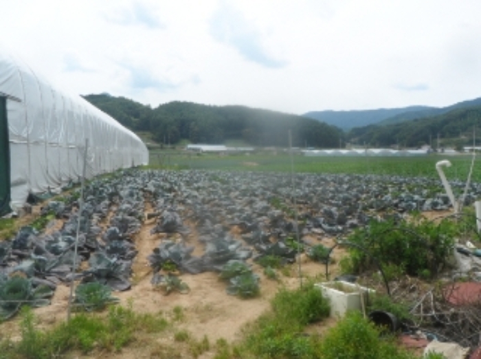 기호 1,2,3번 근거리에서 촬영한 것임