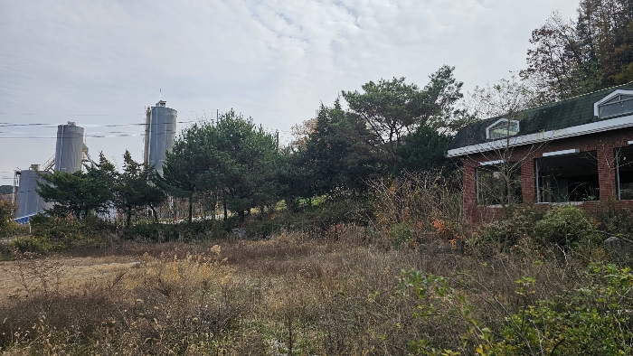 제시외 수목 전경_3