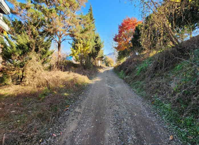 충청북도 영동군 심천면 약목리 493-1,493-6