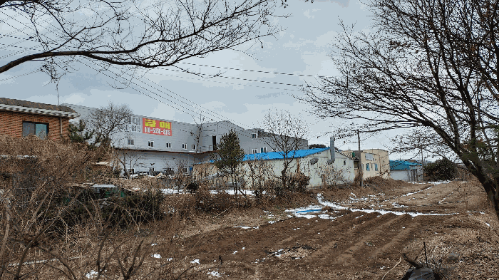 본건 기호 8 토지