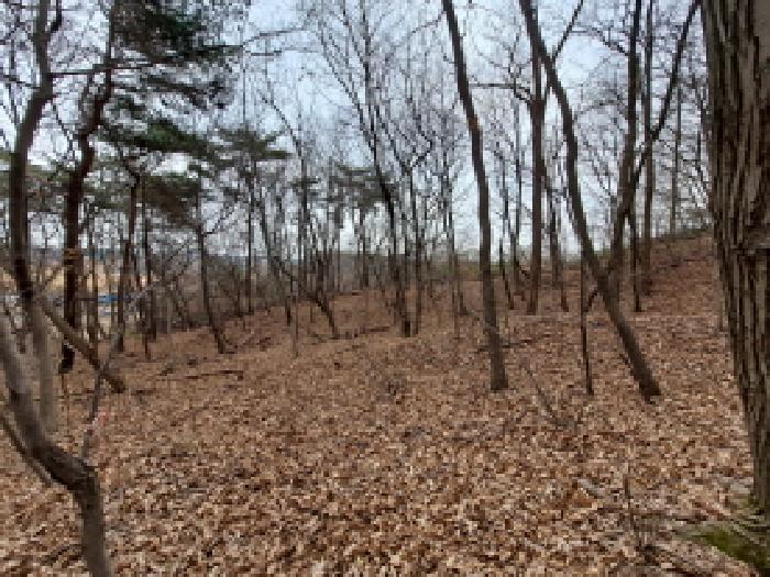 목록 16 서쪽 경계부분 동쪽방향