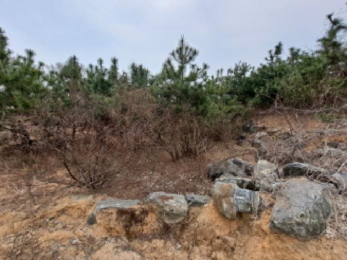 목록 13, 14 북쪽 경계부분