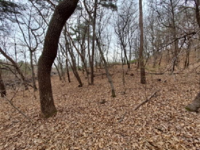 목록 16 북서쪽부분