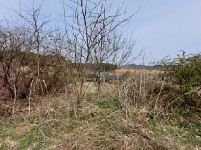 목록 11 북쪽 경계방향