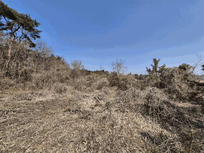 일련번호 1) 전경