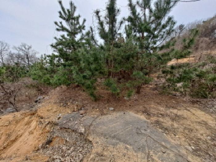 목록 14 북쪽부분