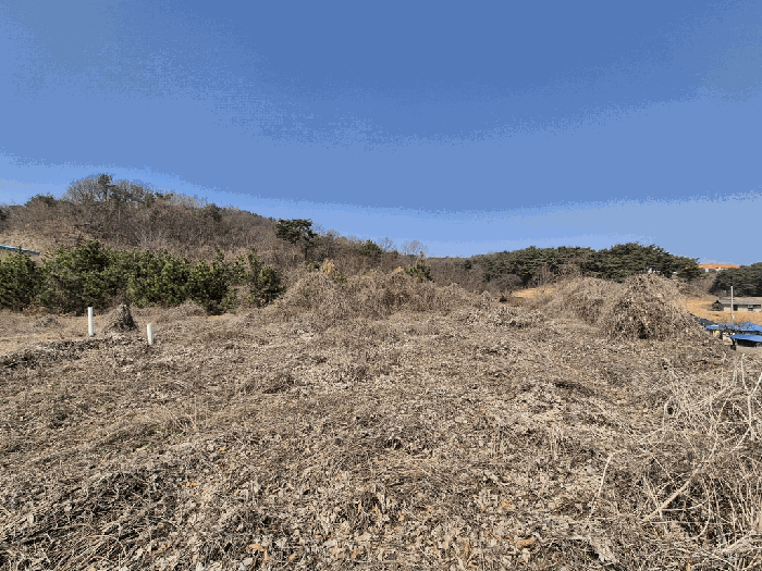 일련번호 11) 전경