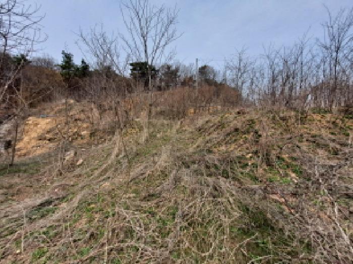 목록 7 안쪽부분