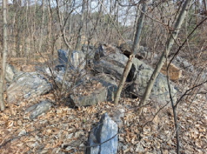 목록 1 서쪽부분 돌덩이 등