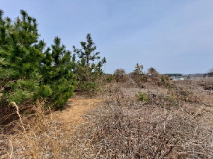 목록 11 남쪽부분