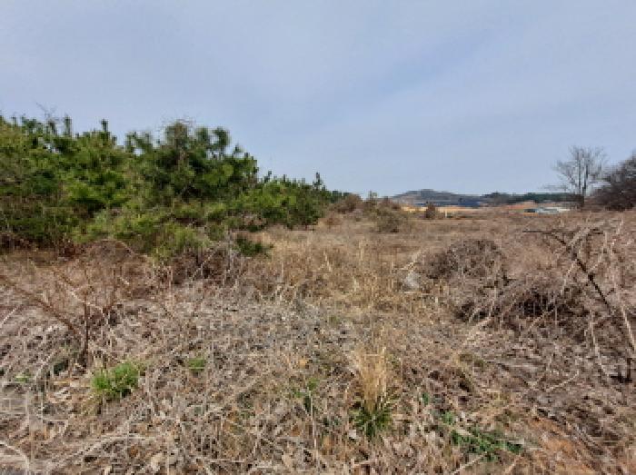 목록 13 남쪽부분