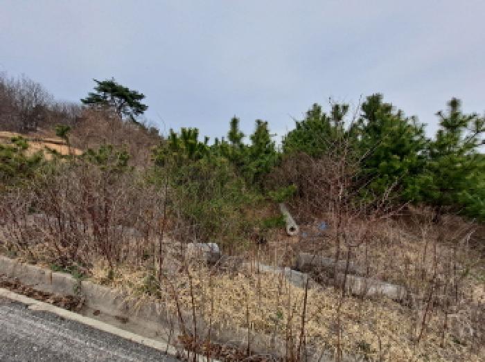 목록 14 남동쪽부분