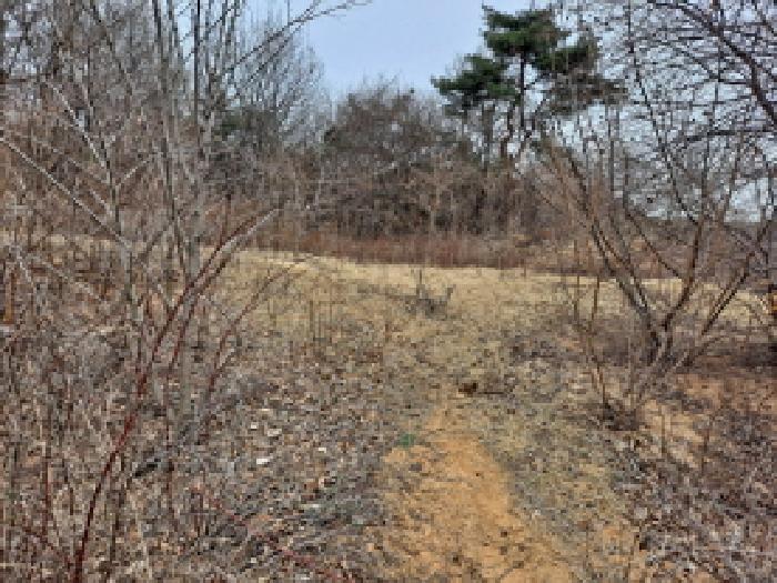 목록 16 동쪽 진입로부분