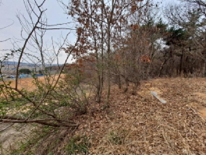 목록 18 중간부분 남쪽방향