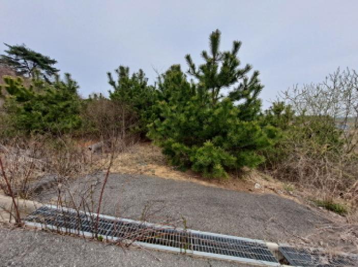 목록 14 남쪽부분