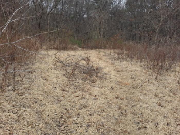 목록 16 동쪽 중간부분 분묘자리