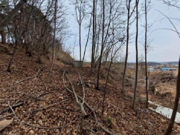 목록 18 남서쪽 경계부분