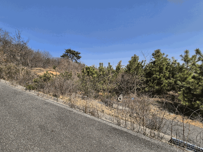 일련번호 15) 전경