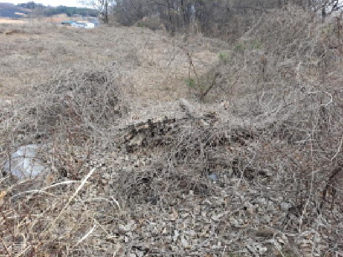 목록 13 남쪽 도로변부분