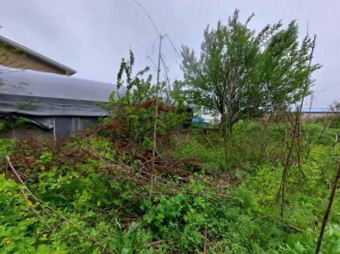 목록 1 서남쪽부분 제시외 천막창고 뒤부분