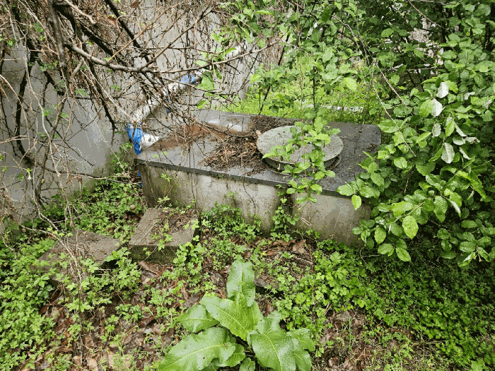 제시외관정(ㅇ)